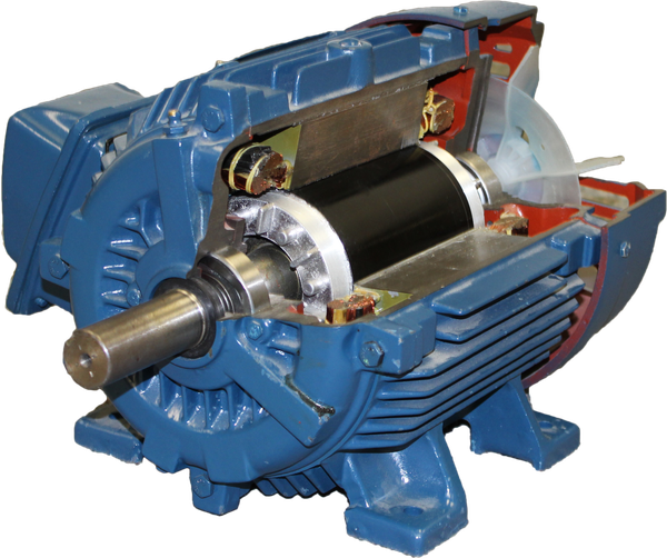 Blue-painted electric induction motor with about a quarter of the housing cut away to reveal interior cross-section of stator windings, rotor, bearings, and shaft