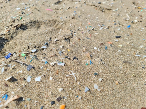 Photo of light brown sand beach littered with brightly-coloured pieces of plastic,which will continue to reduce in size until they are vanishingly small.